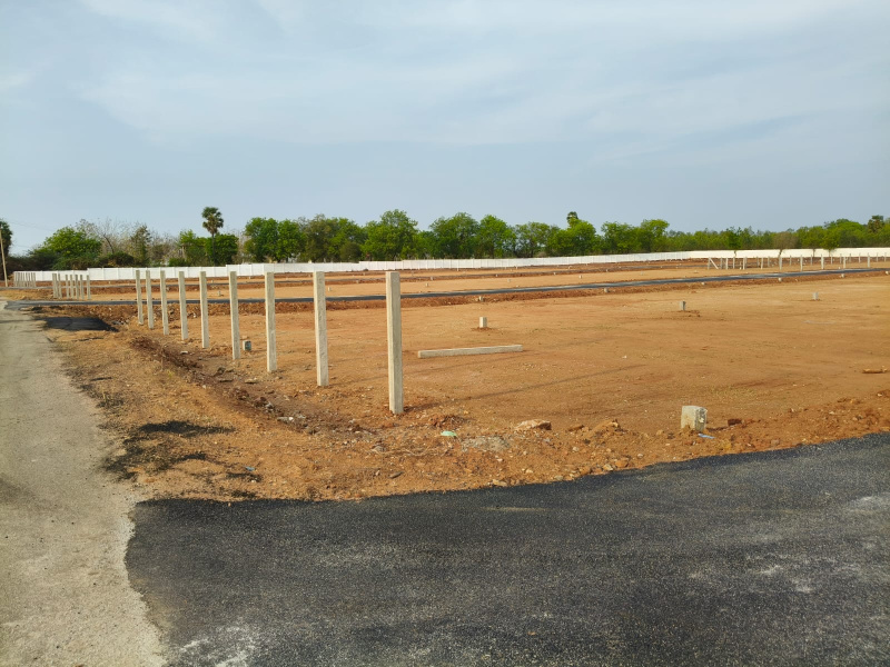  1200 Sq.ft. Residential Plot for Sale in Panjapur, Tiruchirappalli