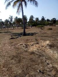  Agricultural Land for Sale in Peravurani, Thanjavur