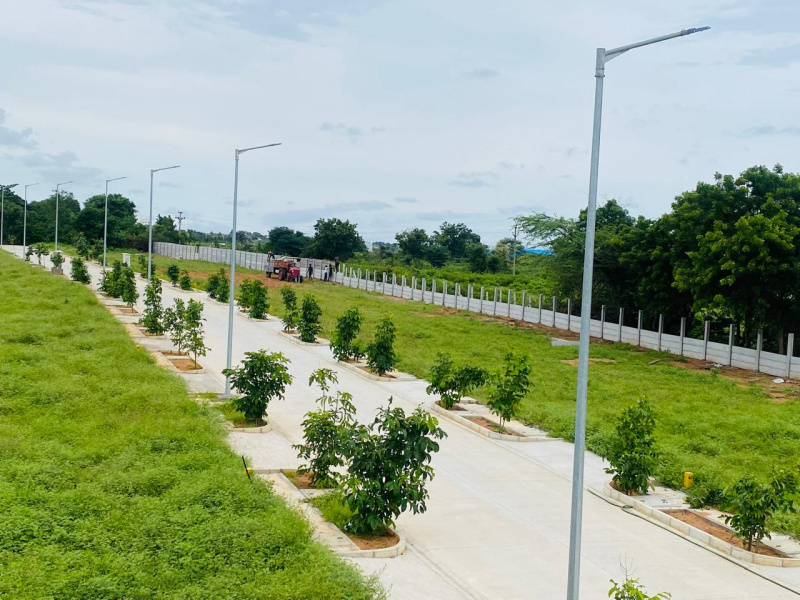  Residential Plot 201 Sq. Yards for Sale in Maheshwaram, Hyderabad