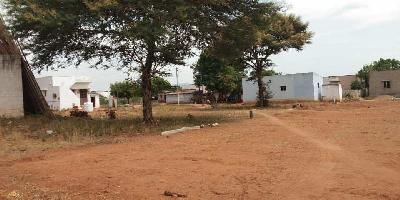  Agricultural Land for Sale in Agaram, Dindigul