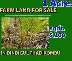  Agricultural Land for Sale in Thadikombu, Dindigul