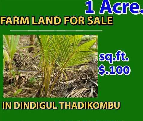  Agricultural Land 40000 Sq.ft. for Sale in Thadikombu, Dindigul