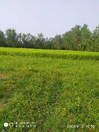  Agricultural Land for Sale in Chilkana Road, Saharanpur