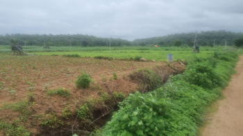  Agricultural Land for Sale in Nirmal, Adilabad