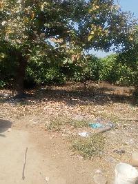  Agricultural Land for Sale in Dharpally, Nizamabad