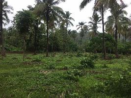  Agricultural Land for Sale in Paravur, Kollam