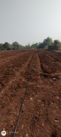  Agricultural Land for Sale in Kondhali, Nagpur