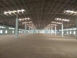  Warehouse for Rent in Phase 2 Noida