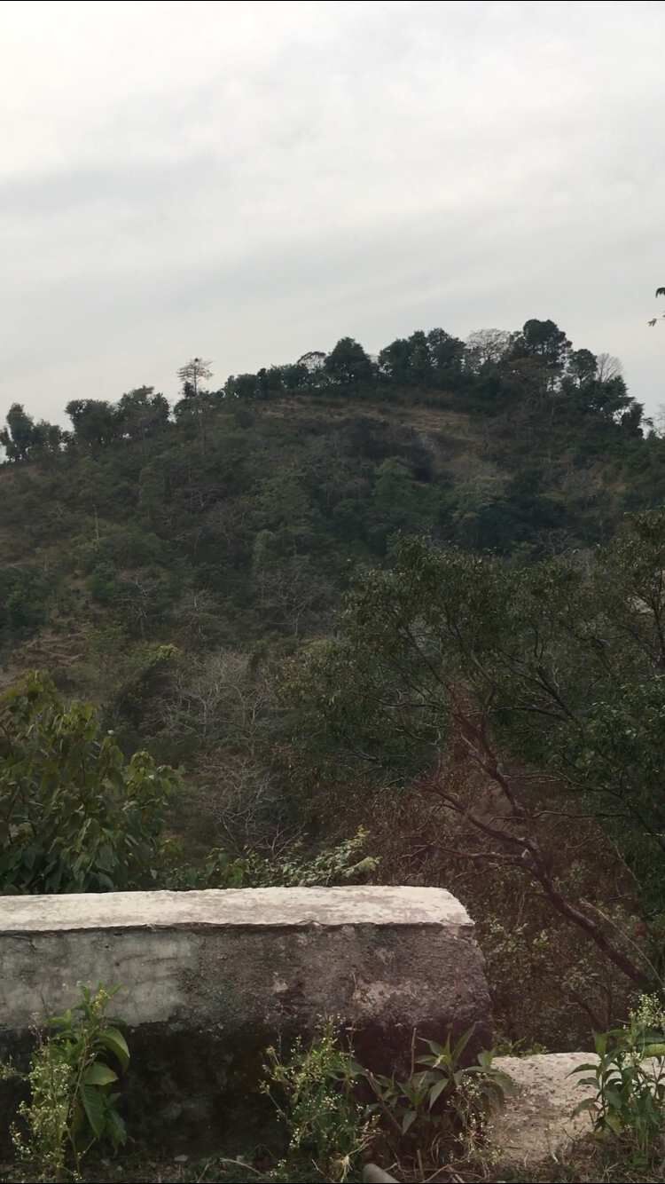  Agricultural Land 200000 Sq.ft. for Sale in Shahpur, Kangra