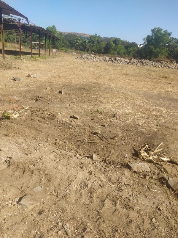  6 Acre Residential Plot for Sale in Karnala, Panvel, Navi Mumbai