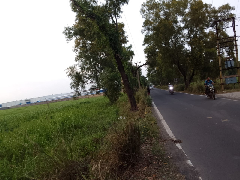  2 Bigha Industrial Land for Sale in Bagnan, Howrah