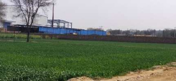  Agricultural Land for Sale in Jhajjar Road, Gurgaon