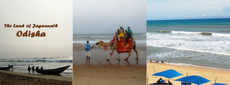 Sea Beach, Puri photo 5