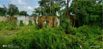  Residential Plot for Sale in Ashram Para, Jalpaiguri