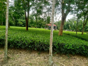  Agricultural Land for Sale in Alipurduar Railway Junction