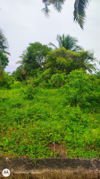  Agricultural Land for Sale in Islampur, Uttar Dinajpur