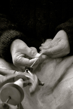  Factory for Sale in Gandhi Nagar, Udumalai/udumalpet, Coimbatore