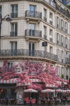  Hotels for Sale in Havelock Island, Andaman