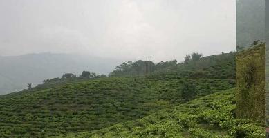  Agricultural Land for Sale in North Kurseong valley, Darjeeling, Darjeeling