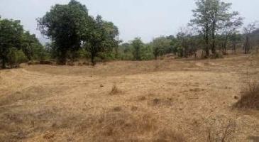  Commercial Land for Rent in Vedantapuram  Gramam, Tirupati, Tirupati