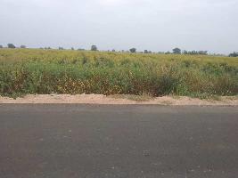  Agricultural Land for Sale in Chitapur, Gulbarga