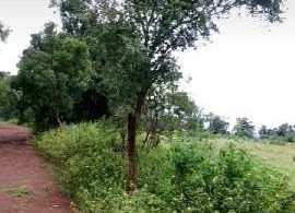  Agricultural Land for Sale in Chincholi, Gulbarga