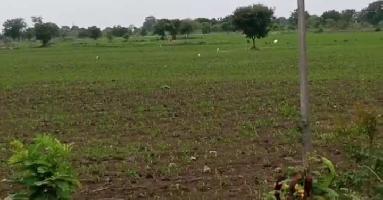  Agricultural Land for Sale in Tandur, Vikarabad
