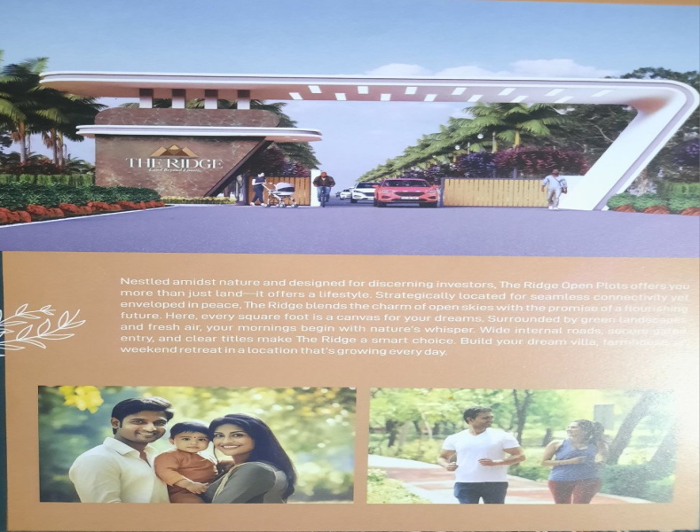 Pamarru, Vijayawada photo 3