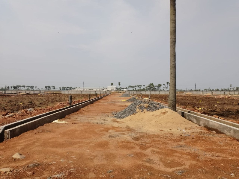 Pamarru, Vijayawada photo 5