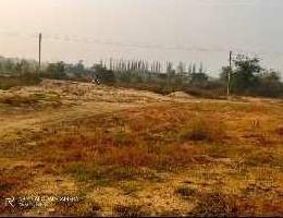  Residential Plot for Sale in Sonepur, Subarnapur