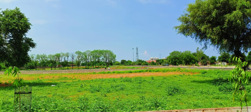  130 Acre Agricultural/Farm Land for Sale in Damoh Naka, Jabalpur