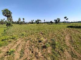  Agricultural Land for Sale in Vizianagaram Cantonment