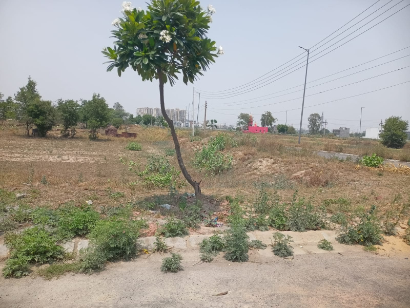  Residential Plot 365 Sq. Yards for Sale in Sector 27 Sonipat