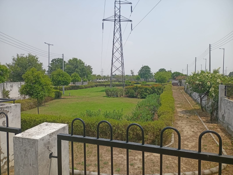  Residential Plot 239 Sq. Yards for Sale in Sector 27 Sonipat