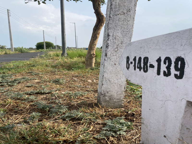  Residential Plot 259 Sq. Yards for Sale in Sector 27 Sonipat