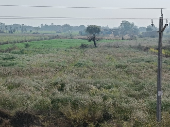  Agricultural Land for Sale in Dankaur, Gautam Buddha Nagar