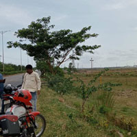  Industrial Land for Sale in Paradip, Jagatsinghapur