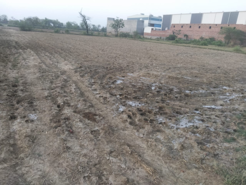 Industrial Land 2500 Sq. Yards for Sale in Beri, Jhajjar