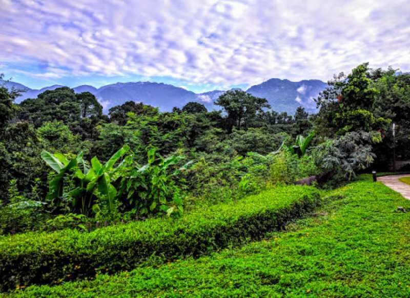 1 BHK Farm House 5 Acre for Sale in Guniyal Gaon, Dehradun
