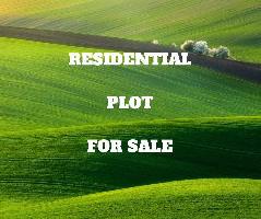  Residential Plot for Sale in Bangali Colony, Najafgarh, Delhi, Delhi