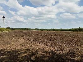  Agricultural Land for Sale in Maradagi, Dharwad