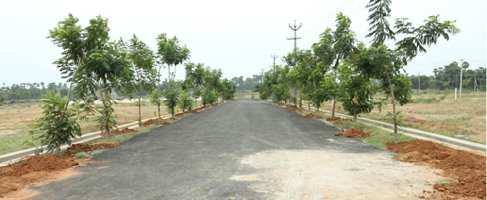  Residential Plot for Sale in Bhogapuram, Visakhapatnam