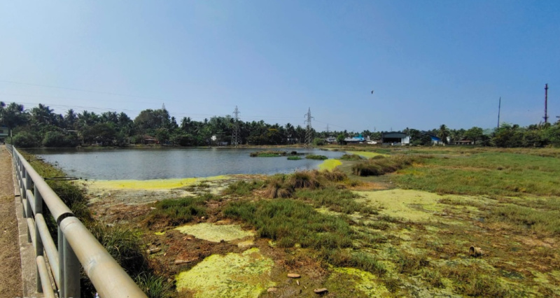 Residential Plot 50 Cent for Sale in Nallalam, Kozhikode