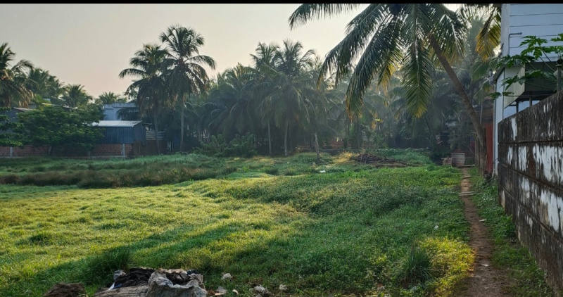  Residential Plot 50 Cent for Sale in Nallalam, Kozhikode