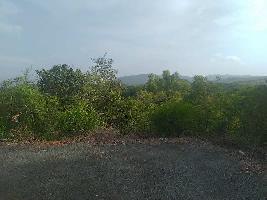  Residential Plot for Sale in Cuncolim, Goa