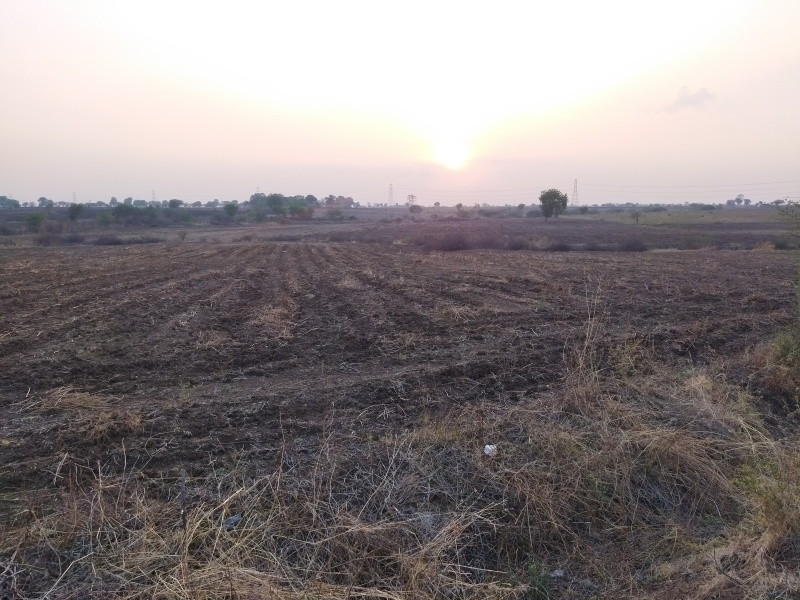  Agricultural Land 7 Acre for Sale in Walgaon, Amravati