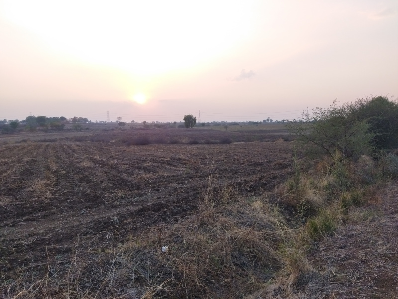  Agricultural Land 7 Acre for Sale in Walgaon, Amravati