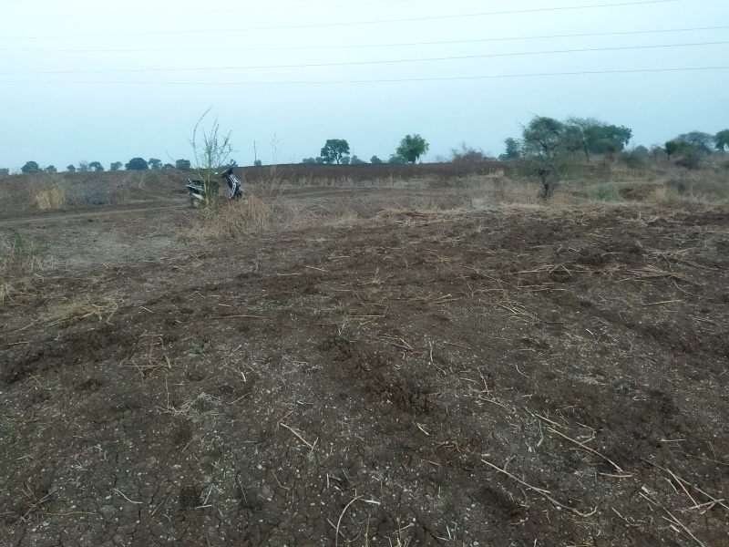  Agricultural Land 7 Acre for Sale in Walgaon, Amravati