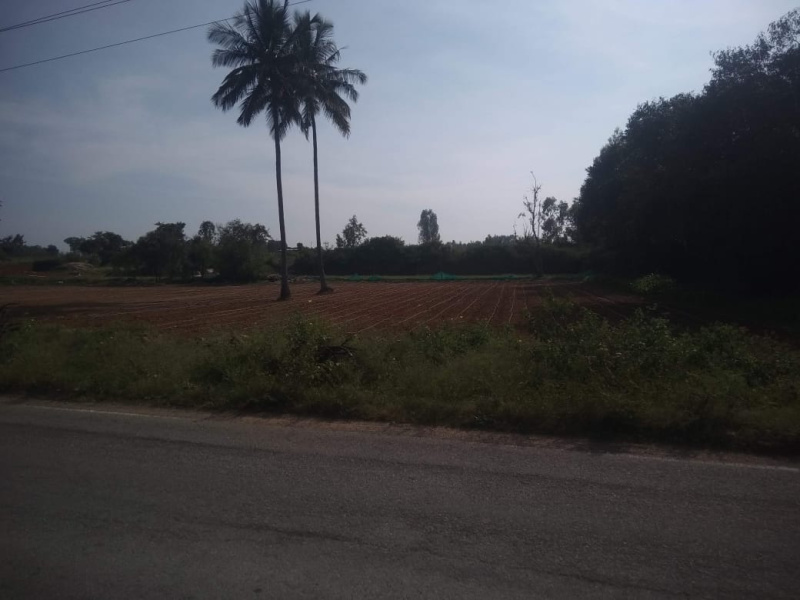 Bethamangala, Kolar photo 4