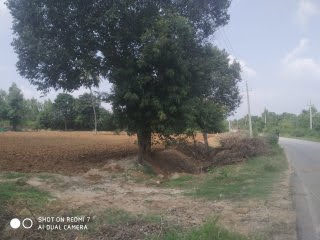 Bethamangala, Kolar photo 5